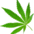 Cannabis (2)